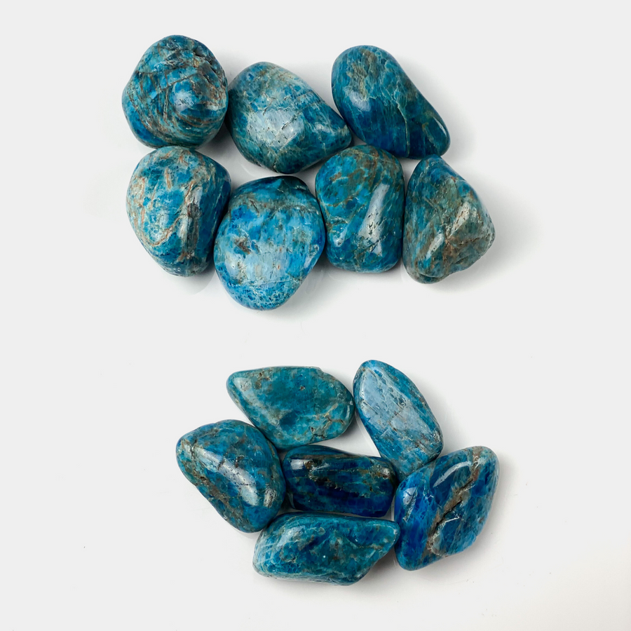 Blue Apatite Tumbled - Sage And Aura