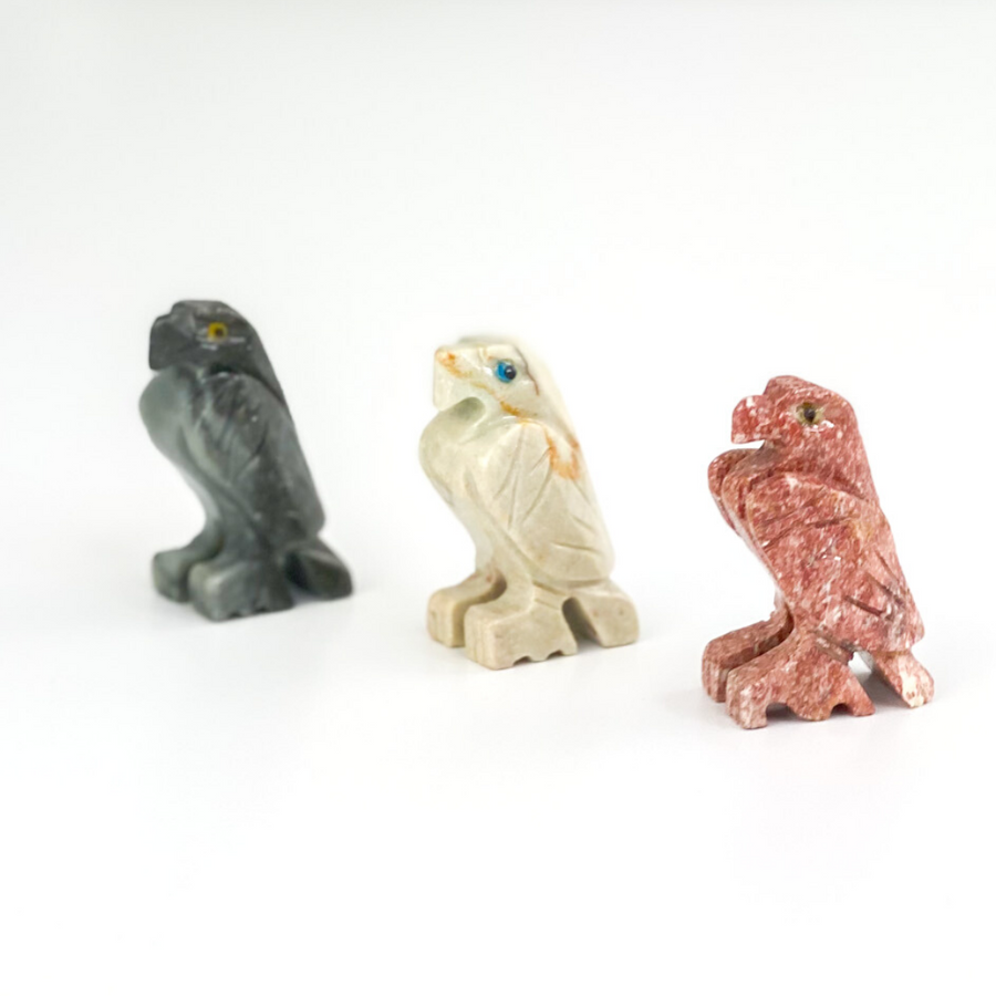 Eagle Soapstone Carving Kit