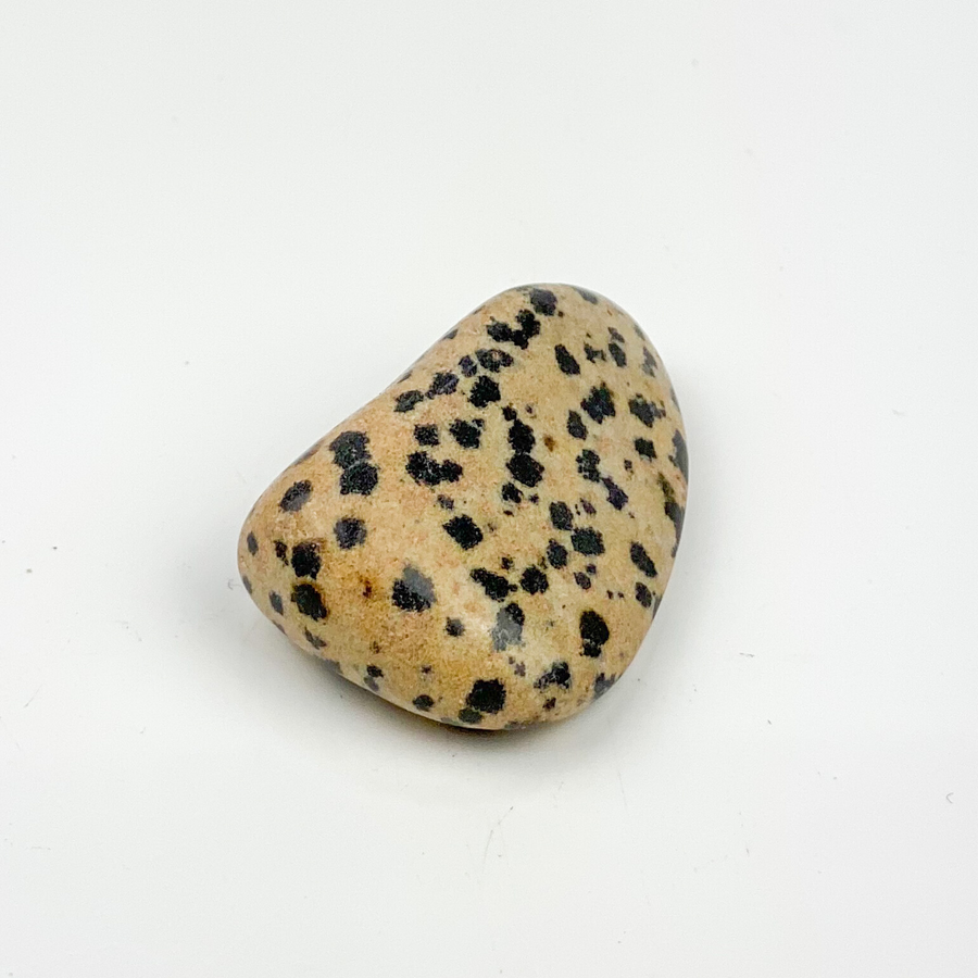 Dalmatian Stone Tumbled - Sage And Aura