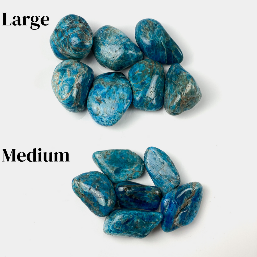 Blue Apatite Tumbled - Sage And Aura